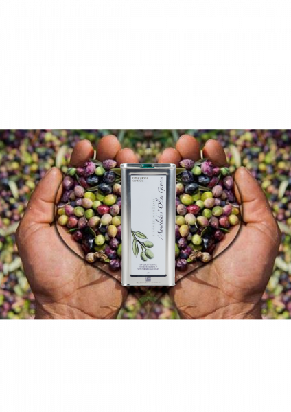 Spar & Vorteilspack Olivenöl Extra Nativ 4 x5 Liter Kanister Spar & Vorteilspack